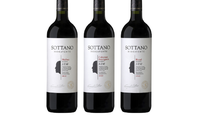 bodega sottano presenta su nueva imagen: una fusion de tradicion e innovacion