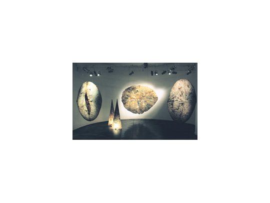 Toda la obra de Aranovich responde al concepto de renovación de los lenguajes tridimensionales, el uso de materiales y técnicas no tradicionales y a una poética que remite a la memoria del tiempo.