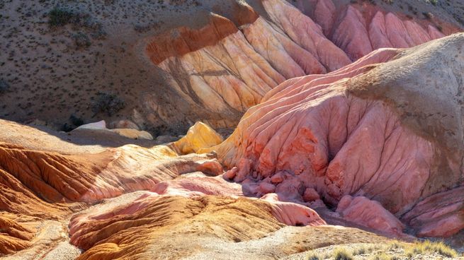 Todos los detalles acerca de un viaje a Portal Cañadón Pinturas, Santa Cruz.
