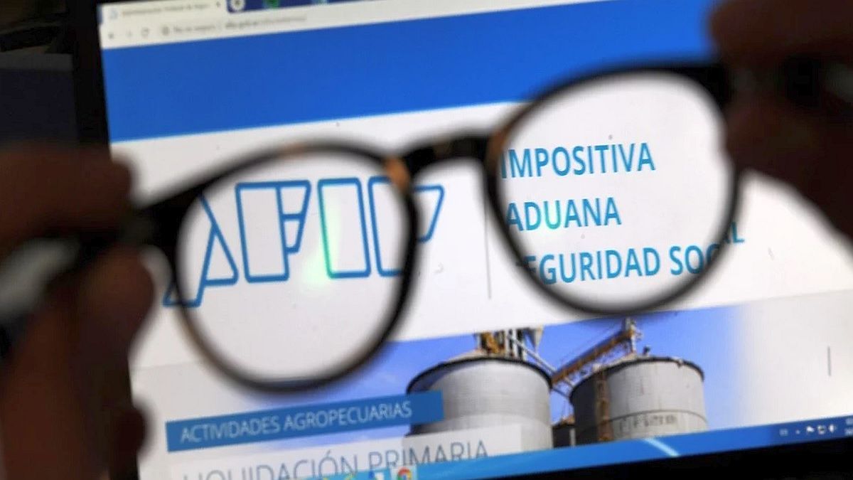 Afip Prorrogó Una Semana Presentación Y Pago De Ddjj Correspondiente A La Seguridad Social 5436