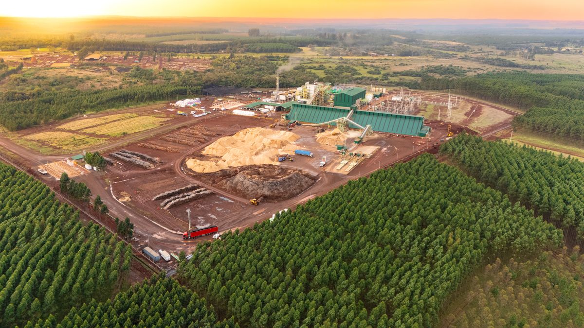 The country’s largest biomass energy plant will invest US0 million to double its production