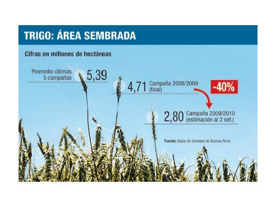 La siembra de maíz podría caer aún más si no llueve