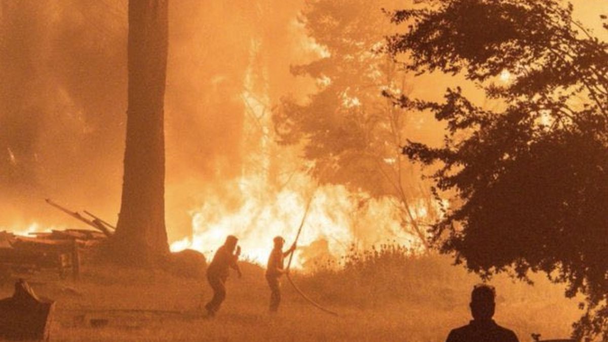 Javier Milei’s government transferred the National Fire Management Directorate to the Ministry of Security