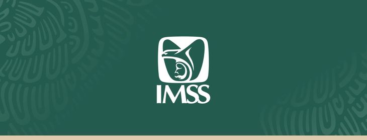 Checa lo que tiene para decir el IMSS. Checa lo que tiene para decir el IMSS.