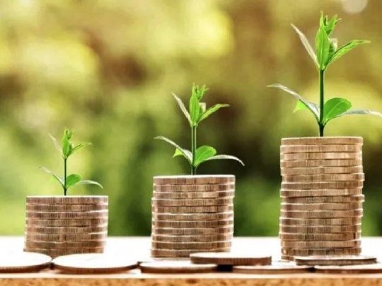 Coin verde: la criptomoneda que busca reforestar el Amazonas.