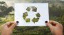 These are two ways of recycling tuna cans. These are two ways of recycling tuna cans.