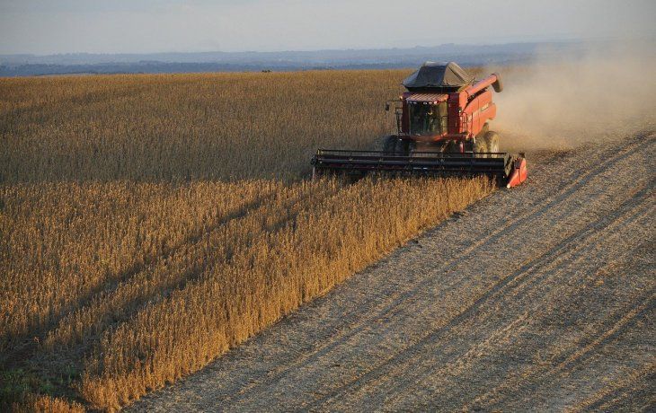 Muchas empresas del agro, tanto grandes como chicas han recurrido al mercado de capitales para financiarse. 