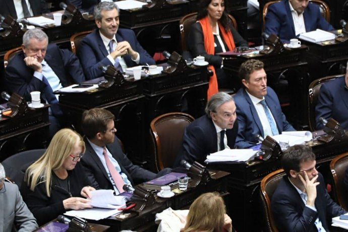 Debate en Diputados.