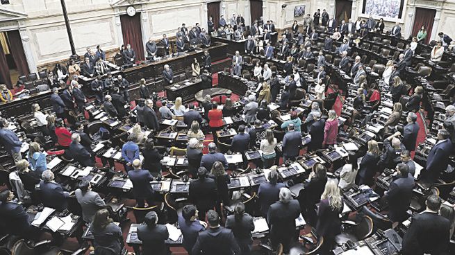 Sesión especial en Diputados.