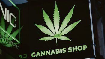 ámbito.com | tapa hemp cannabis.jpg