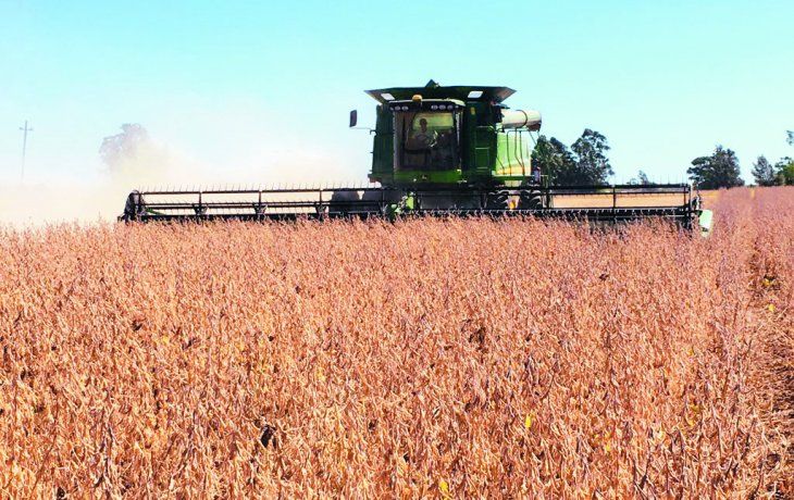 ámbito.com | PAG9-SOJA.jpg