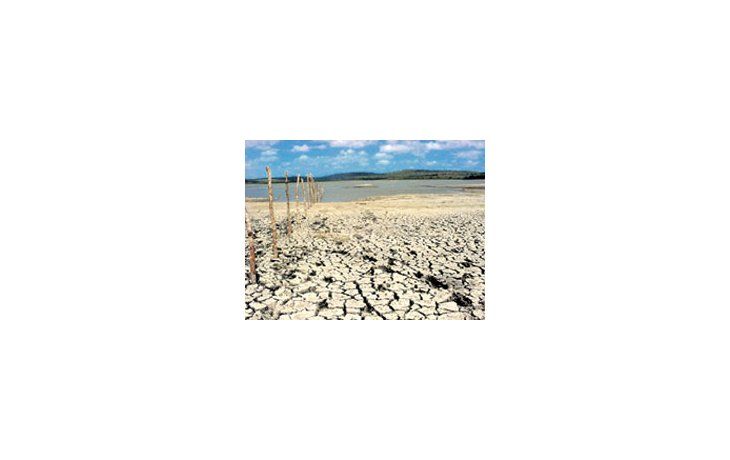 Sin lluvias y tras el derrumbe del mercado de Chicago, las mermasde producción de granos alcanzarán los u$s 5.800 millones. Alsumar la baja de precios, las pérdidas se duplican.