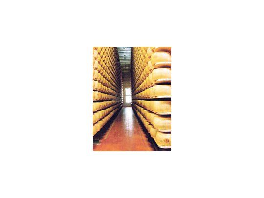 Italia: queso para garantizar créditos