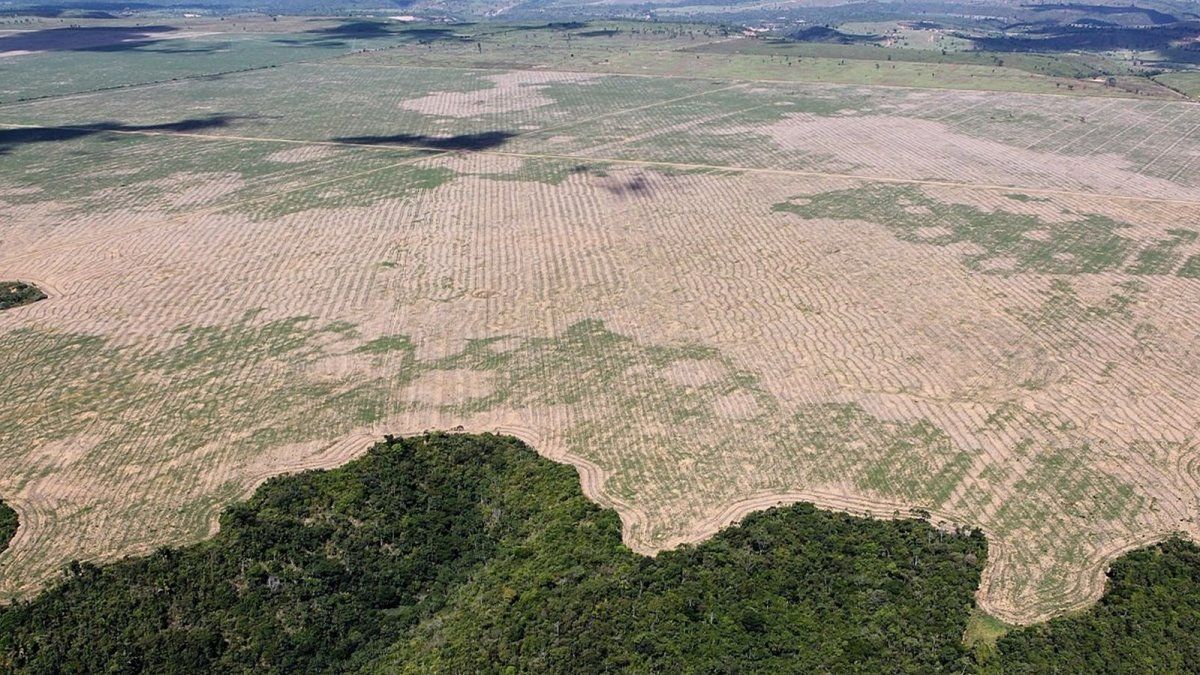 They discovered lost cities built 2,500 years ago