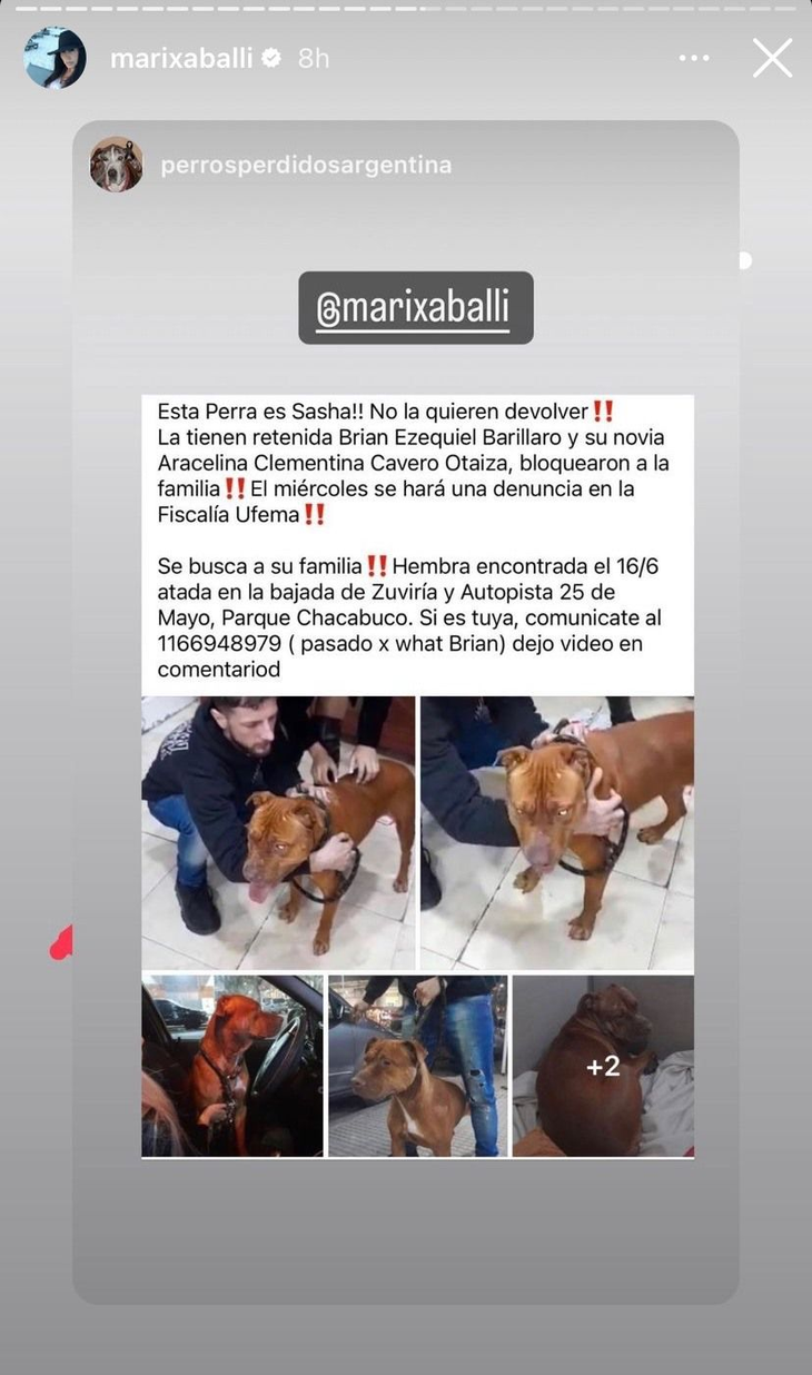 Marixa Balli: scandal at the gate of a canal when defending a stolen dog
