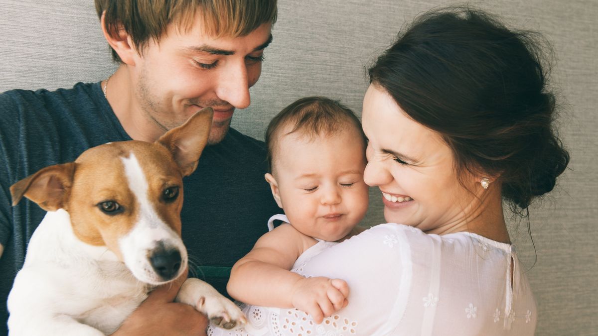 cómo evitar que un perro sea agresivo con los bebés