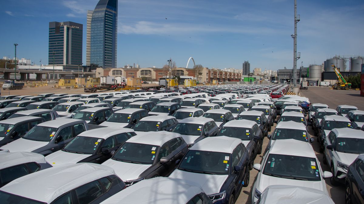 The port of Montevideo reached a record of vehicles mobilized for export