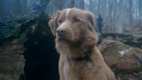 Indy protagoniza la película Good Boy.