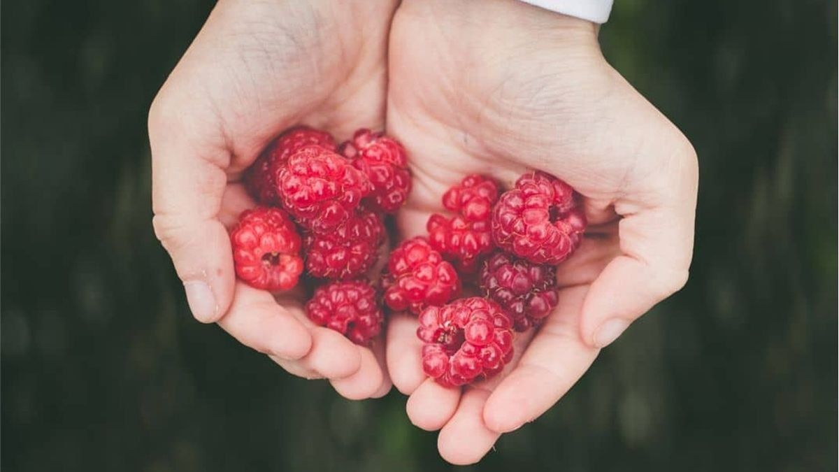 The fruit that gained popularity in recent years and has great skin benefits