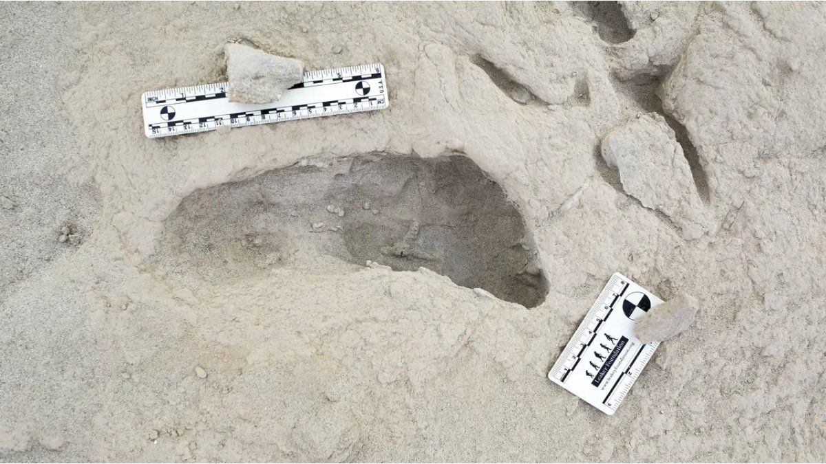 New fossil footprints reveal that two extinct human species coexisted thousands of years ago