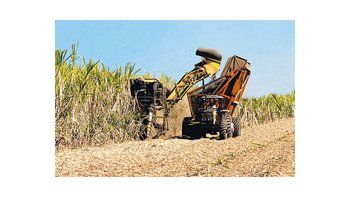 La región centro sur brasileña llegó a cosechar 73,04 millones de toneladas de azúcar enjulio, la mayor cifra registrada para un mes.