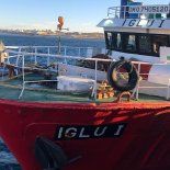 La pesca subió fuertemente en la interanual, pero cayó en comparación al mes pasado. La pesca subió fuertemente en la interanual, pero cayó en comparación al mes pasado.