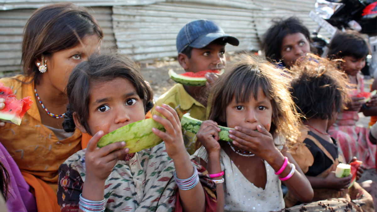 World Food Day: why it is celebrated every October 16