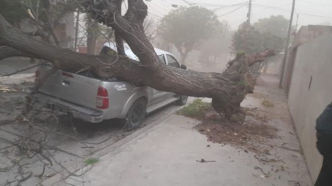 Un fuerte temporal generó destrozos en las calles de San Luis.