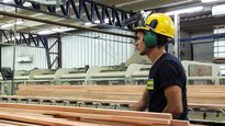 La actividad económica mejoró en octubre y se encuentra en recuperación sobre el final del año.&nbsp;
