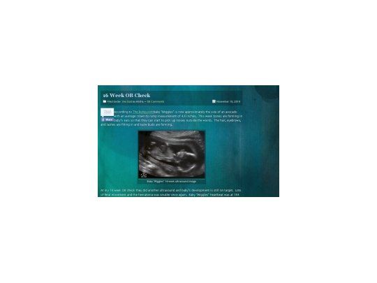 En www.birthornot.com la pareja estadounidense consulta a los internautas si deben o no tener a su hijo.