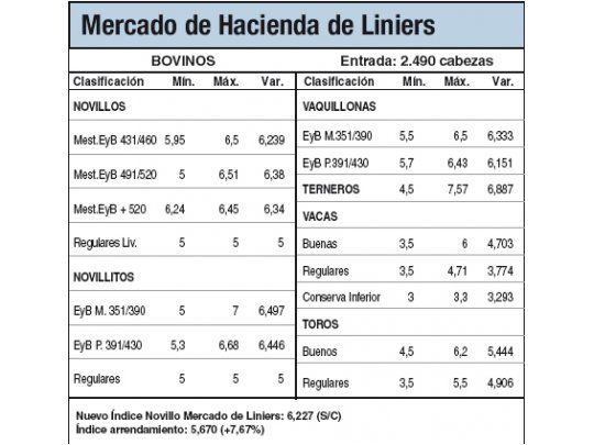 Los toros cayeron hasta el 5% en Liniers