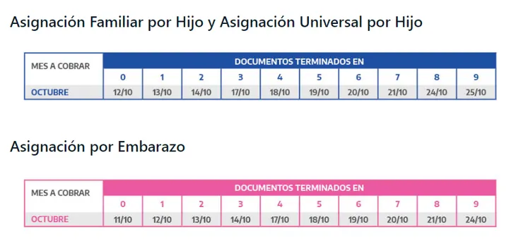 Del 11 al 25 de octubre ANSES ejecutara el calendario de pagos para AUH y AUE.