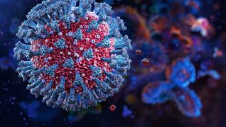 Martín Regueiro, ministro de Salud provincial, informó sobre los casos. Martín Regueiro, ministro de Salud provincial, informó sobre los casos.