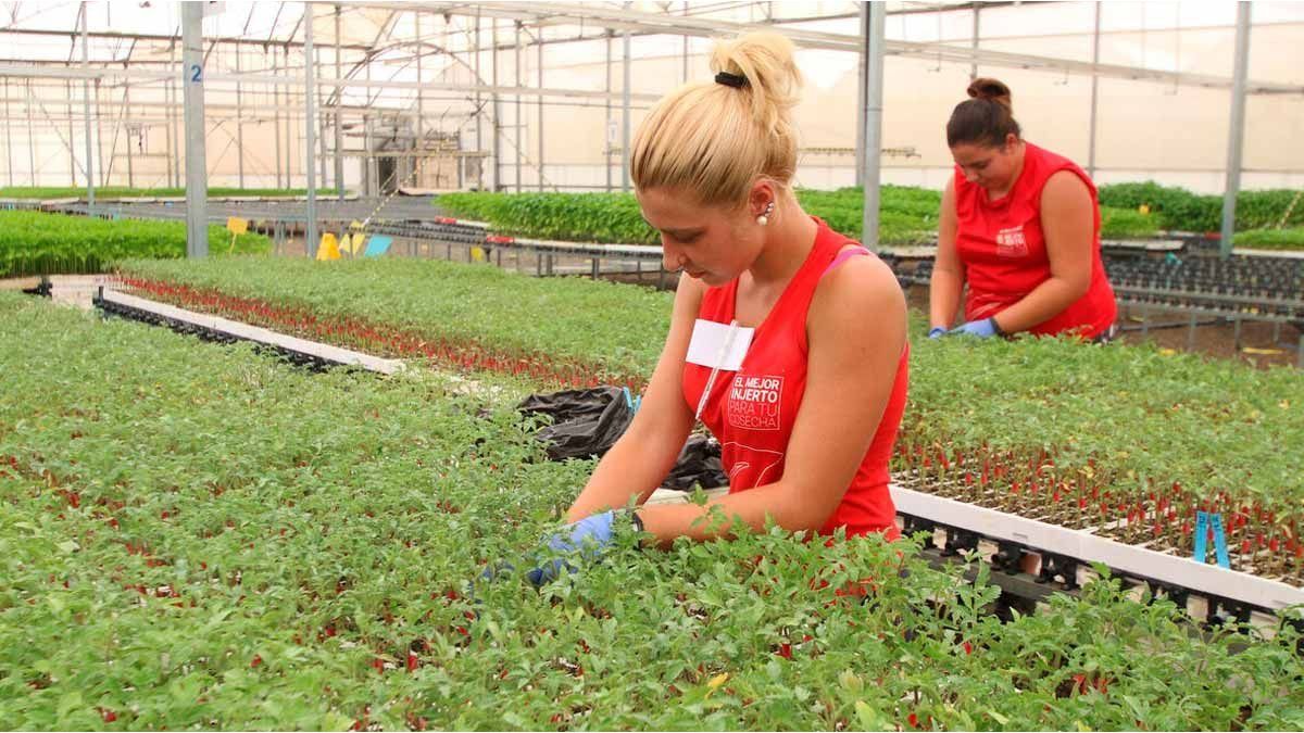 Agricultural salaries: how much will a key union earn from October