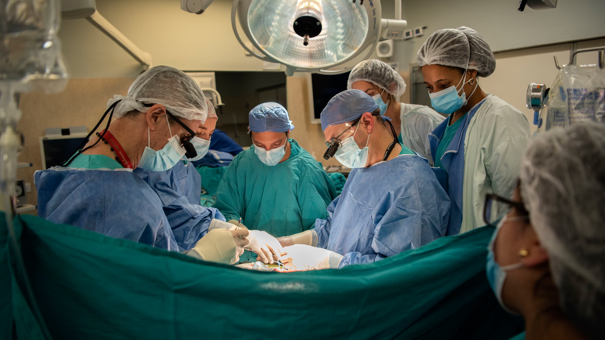 Record operation in Garrahan: 100 doctors perform 3 simultaneous transplants