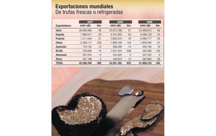 ámbito.com | SU DINERO PERSONAL: hongo negro y caro busca paladar