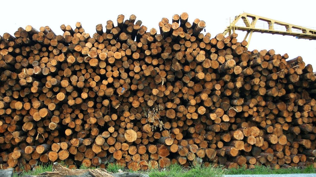 The wood industry adds its request to have the withholdings removed