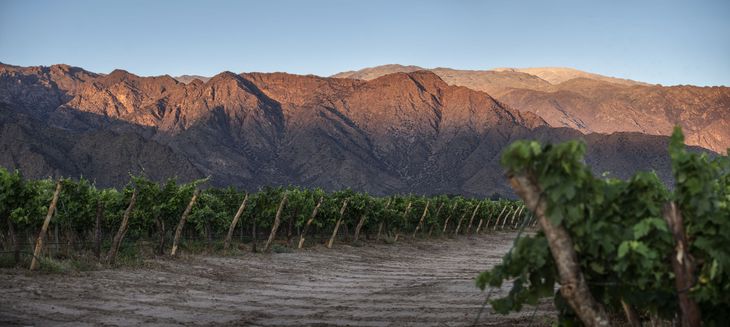 Cafayate, Salta. Cafayate, Salta.