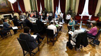 Diputados asignó a cada legislador 100.000 pesos para luchar contra el coronavirus.