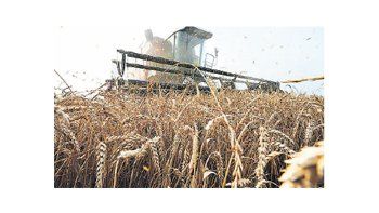 La Bolsa de Cereales sostuvo que el exceso de agua podría impedir alcanzar la superficie estimada, que para la entidad sería de 4,2 millones de hectáreas.