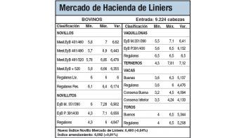Subas del 0,5% para vacas y novillos