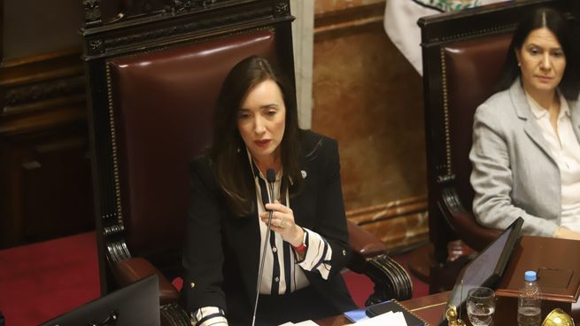 Ante los apoyos al senador nacional, Villarruel convocó a una sesión especial.