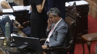 El plan libertario no pudo concretarse completamente El plan libertario no pudo concretarse completamente