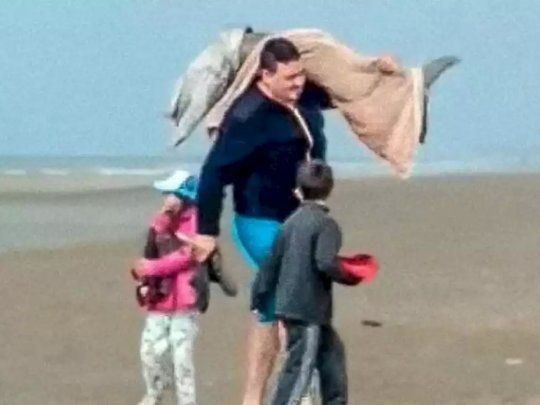 El hombre que capturó un delfín en Mar del Tuyu busca defenderse: No me lo comí.