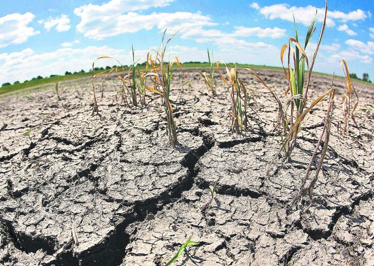 ¿QUÉ DEBE ESPERAR EL AGRO ANTE EL POSIBLE REGRESO DE LA NIÑA?