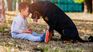 These are the 10 best dog breeds to have in a house with children, according to experts These are the 10 best dog breeds to have in a house with children, according to experts