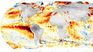 The El Niño phenomenon had begun in June 2023. The El Niño phenomenon had begun in June 2023.