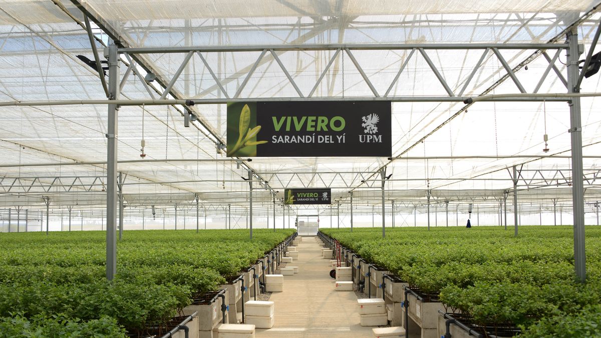 Presidency inaugurated UPM’s incubator of u$s 25 million in Sarandí del Yí