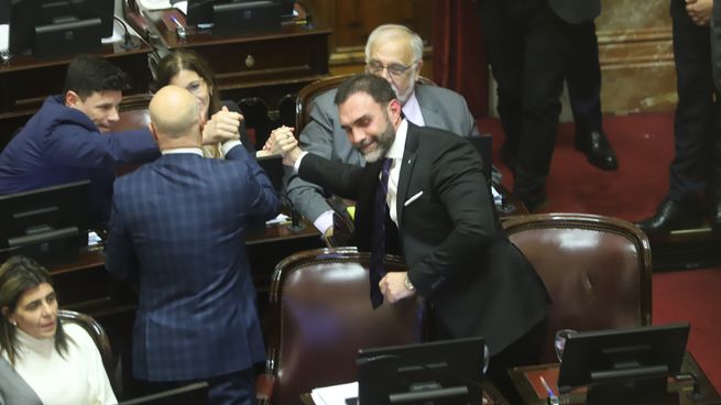 Senadores libertarios celebraron la aprobación.