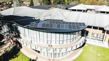 causas verdes en la universidad
